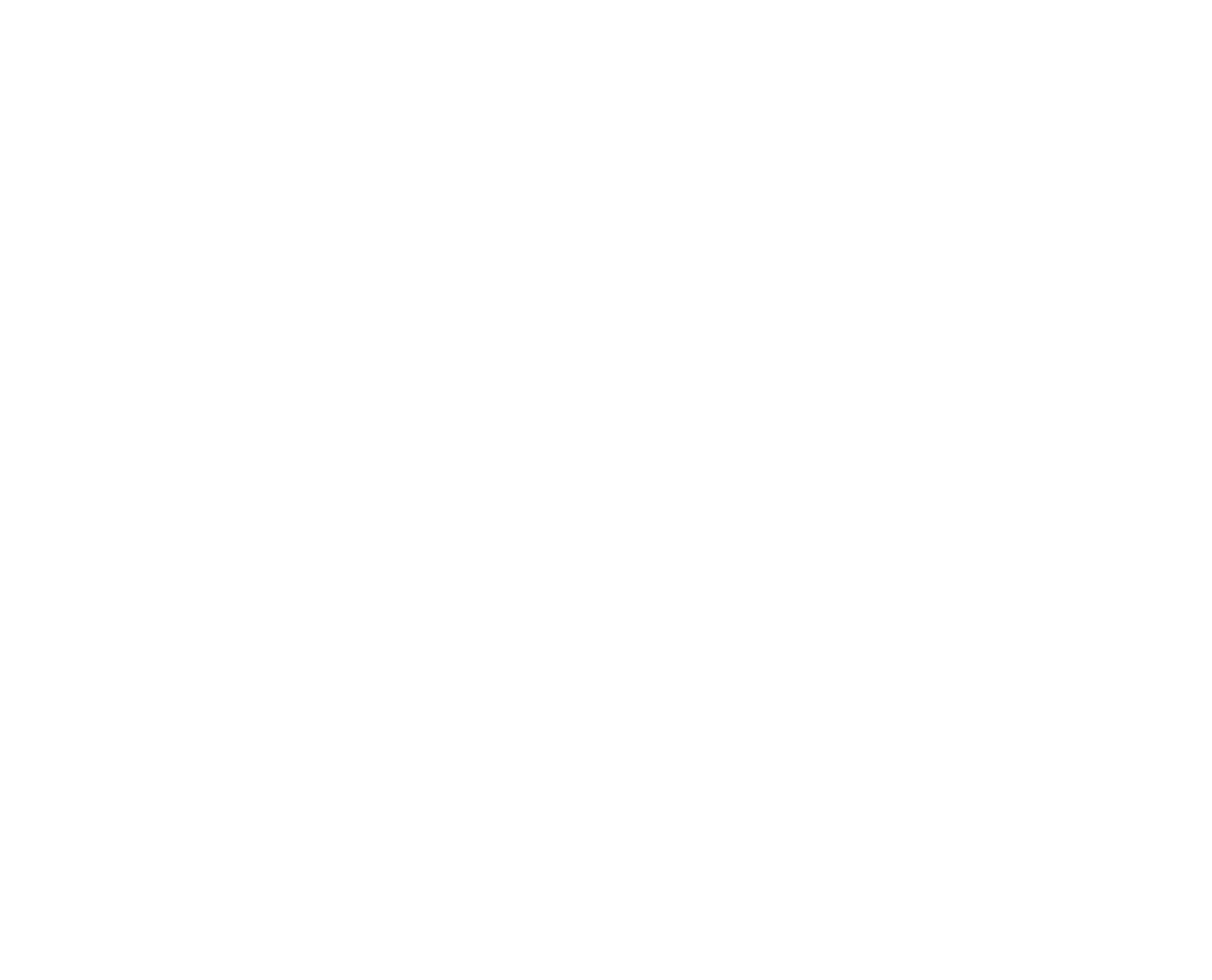 LVLUPANIMAZIONE